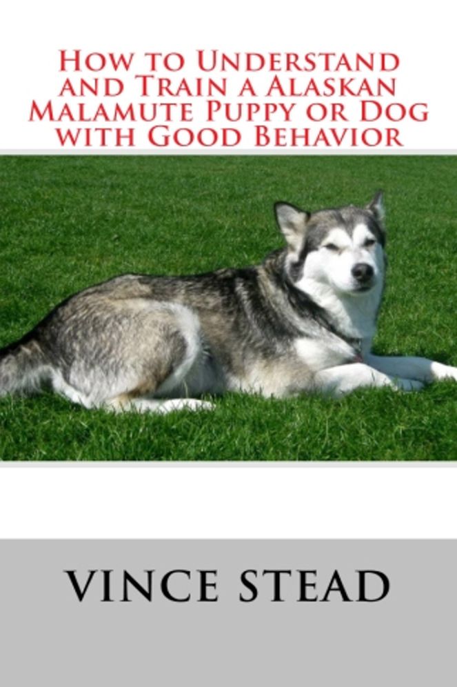 How to Understand and Train a Alaskan Malamute Puppy or Dog with Good Behavior