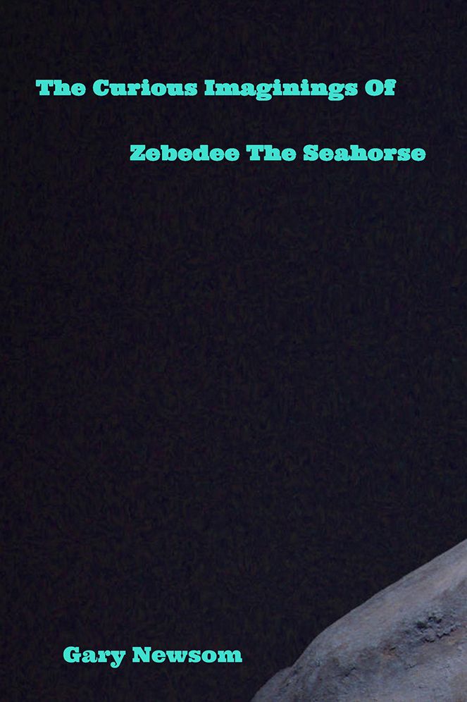 The Curious Imaginings Of Zebedee The Seahorse: Zebedee The Seahorse