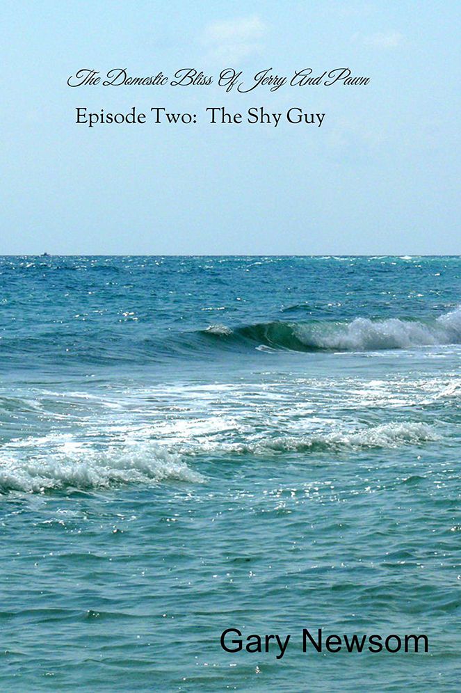 The Domestic Bliss Of Jerry And Pawn: Episode Two: The Shy Guy
