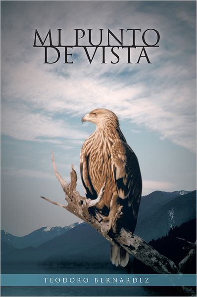 MI PUNTO DE VISTA