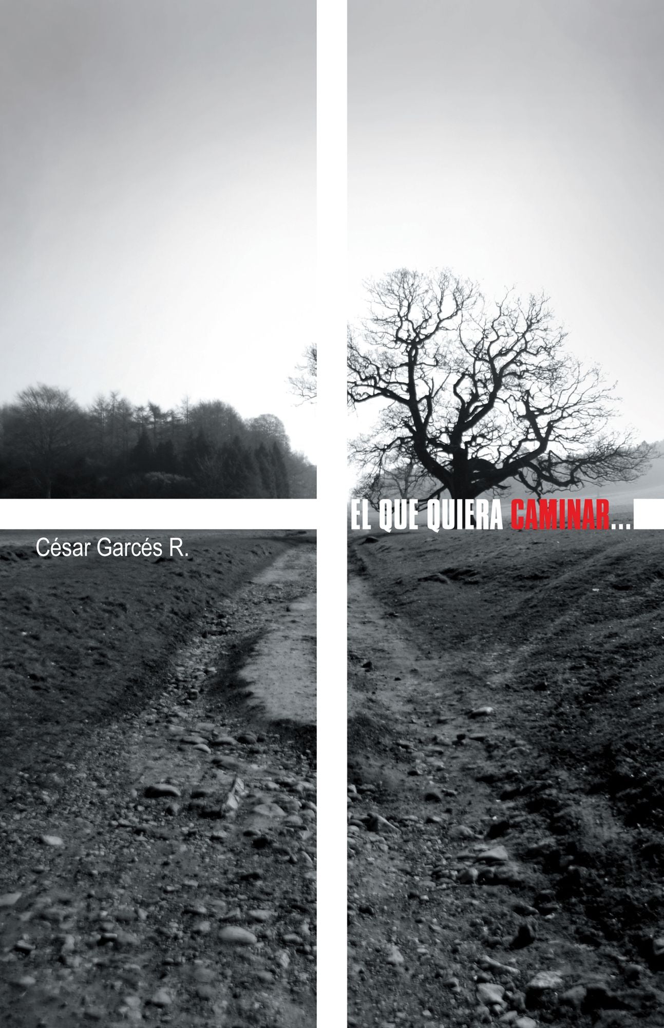 El que quiera caminar...