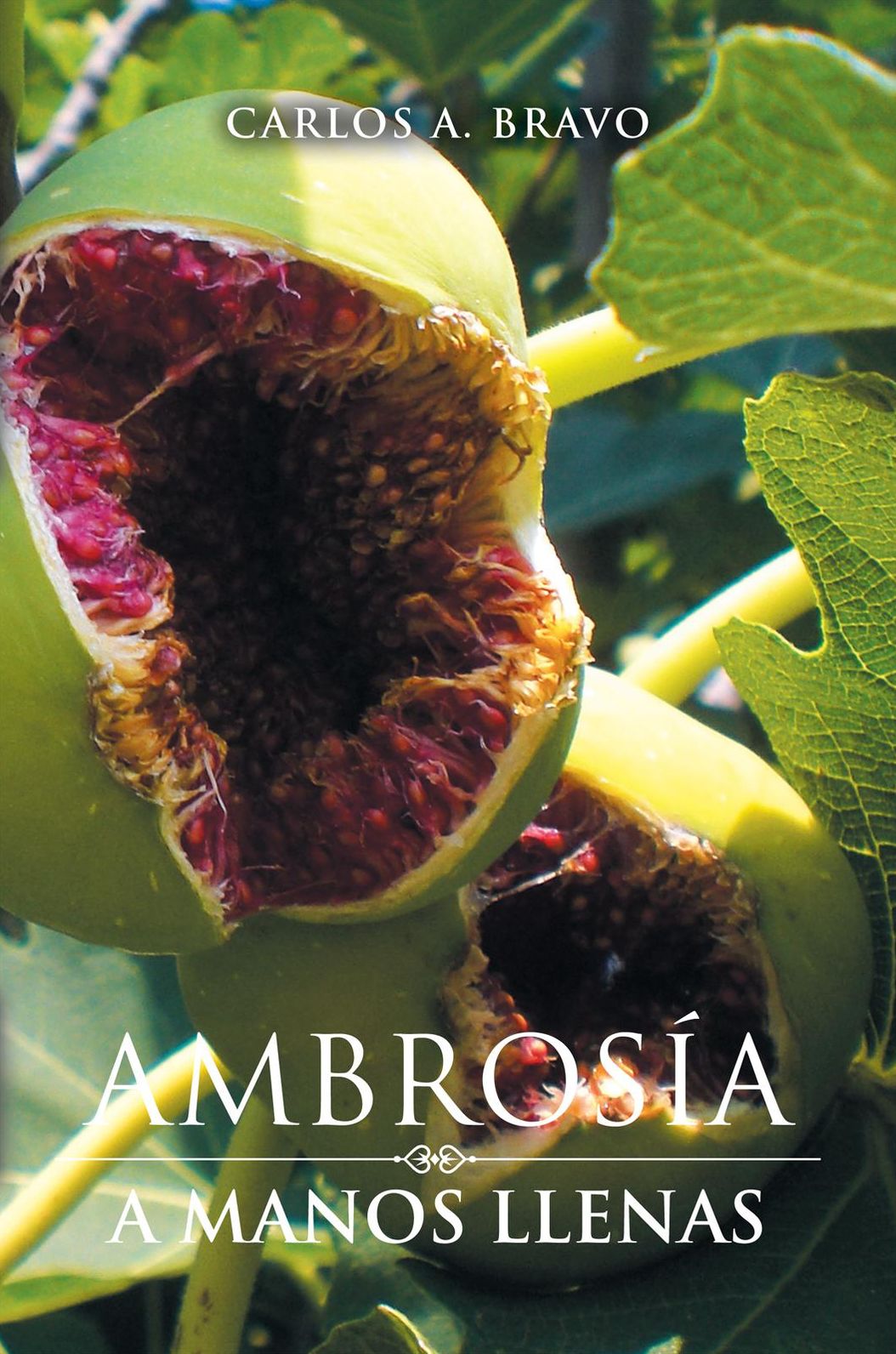 Ambrosía a Manos Llenas