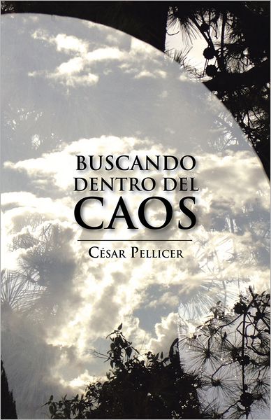BUSCANDO DENTRO DEL CAOS