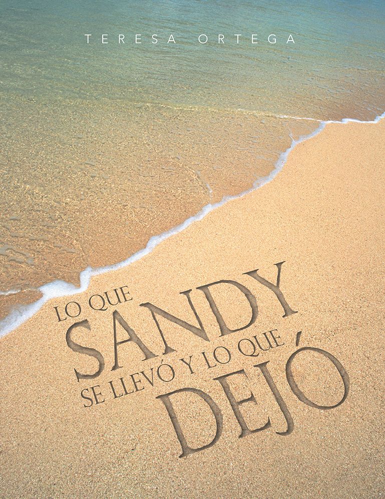 Lo que Sandy se llevó y lo que dejó