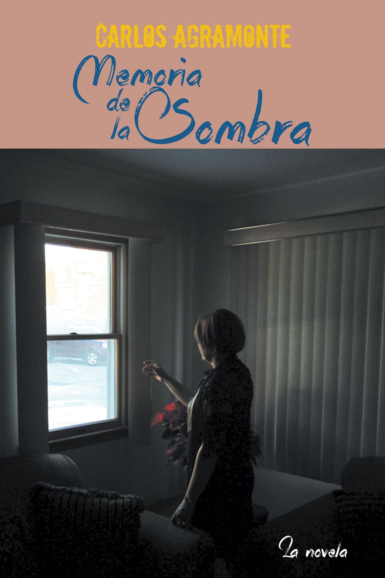Memoria de la sombra