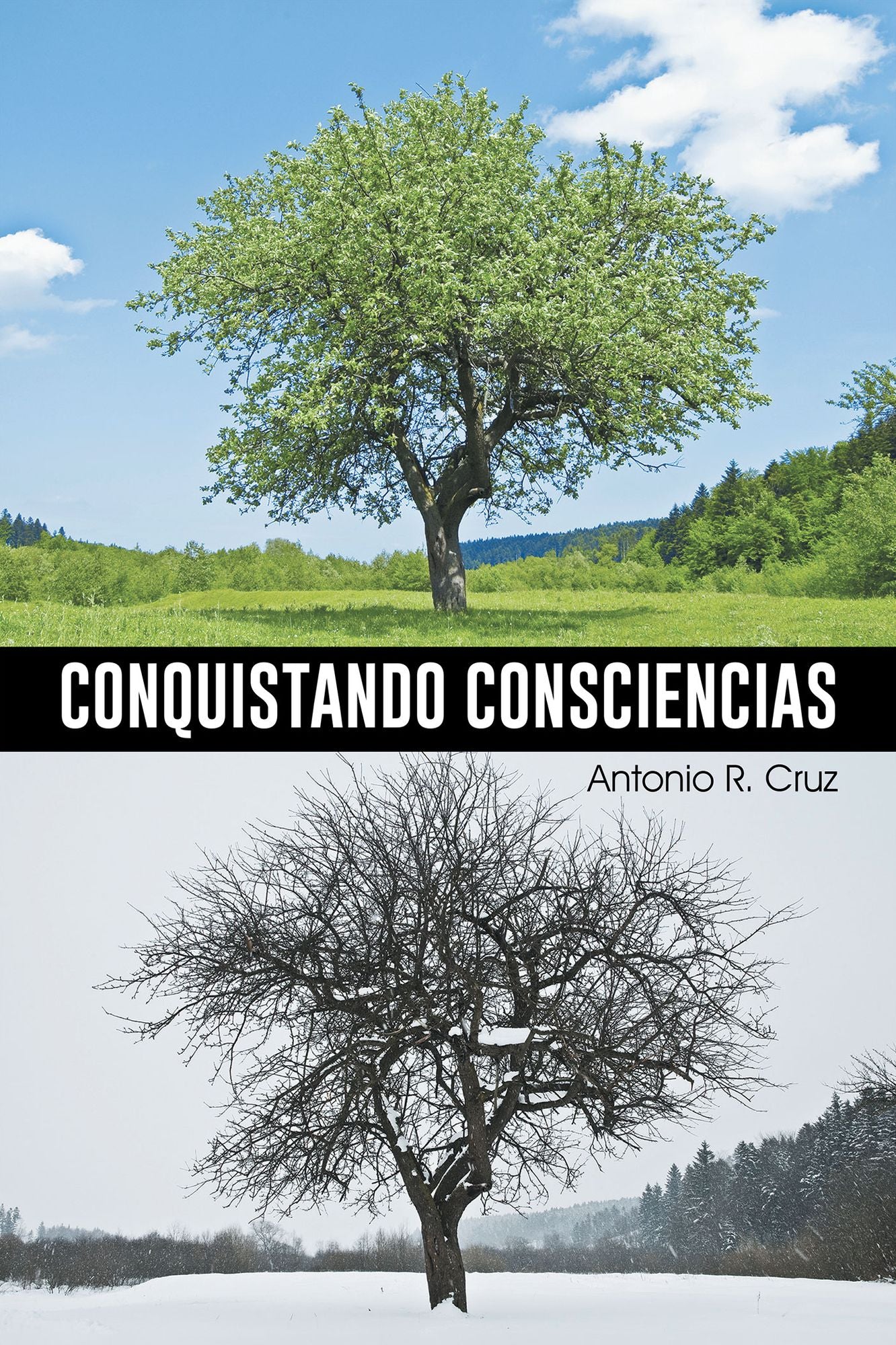 CONQUISTANDO CONSCIENCIAS