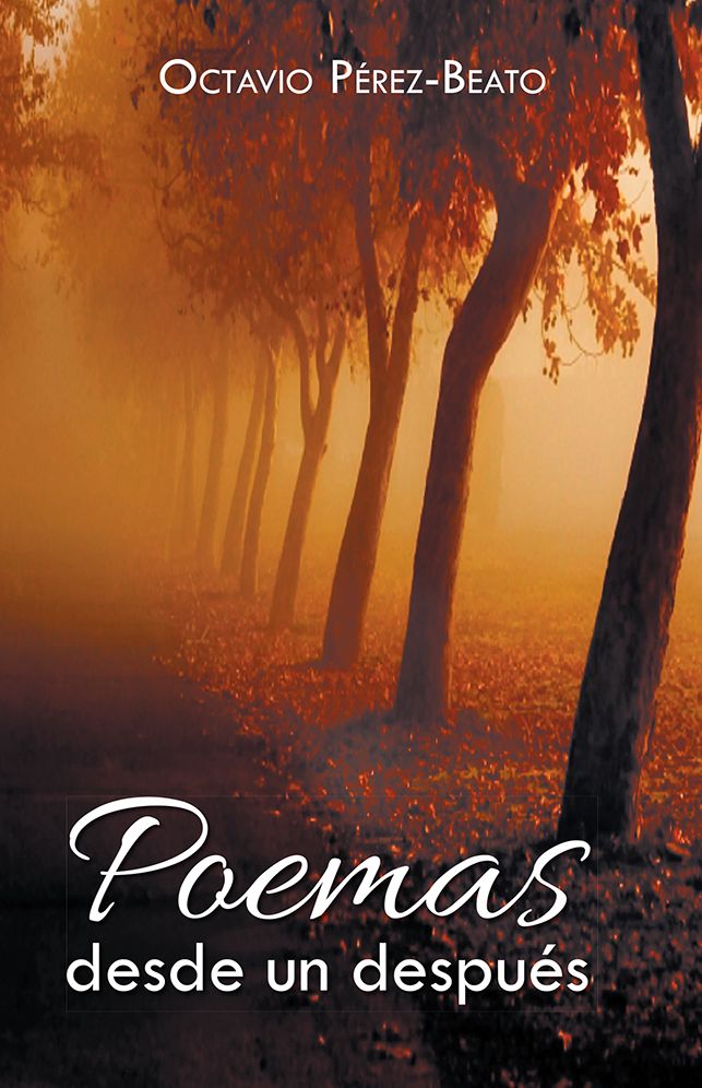 Poemas desde un despu&eacute;s