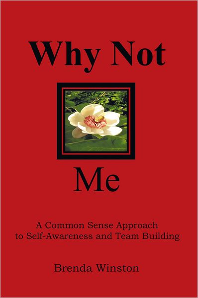 WHY NOT ME?: "A Common Sense Approach to Self-Awareness and Team Building"