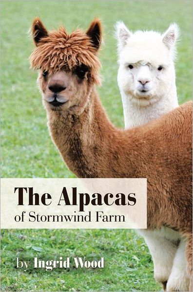 The Alpacas of Stormwind Farm
