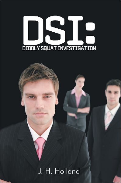 Dsi: Diddly Squat Investigation