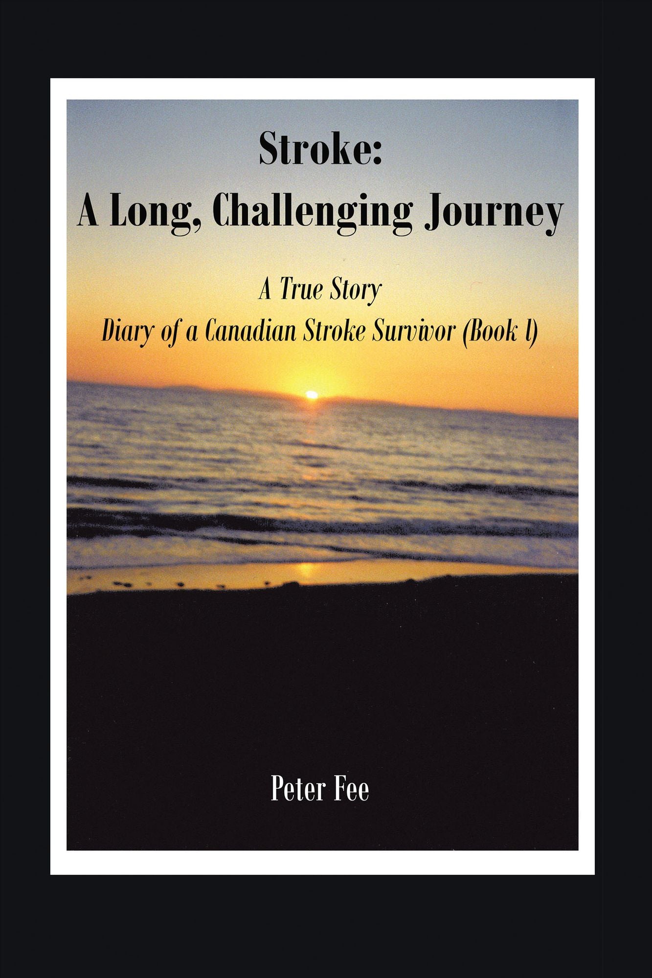 Stroke: A Long, Challenging Journey-A True Story: Diary of a Canadian Stroke Survivor (Book l)