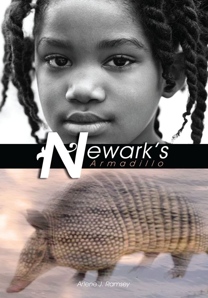 Newark's Armadillo
