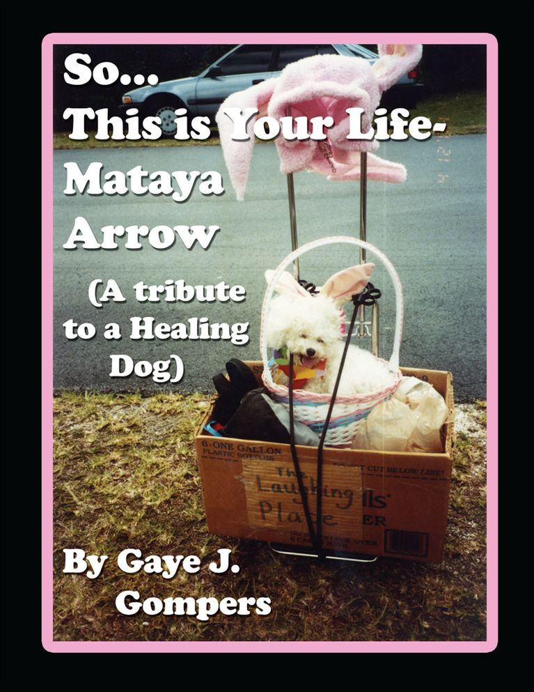 So...This is Your Life- Mataya Arrow: (A Tribute to a Healing Dog)
