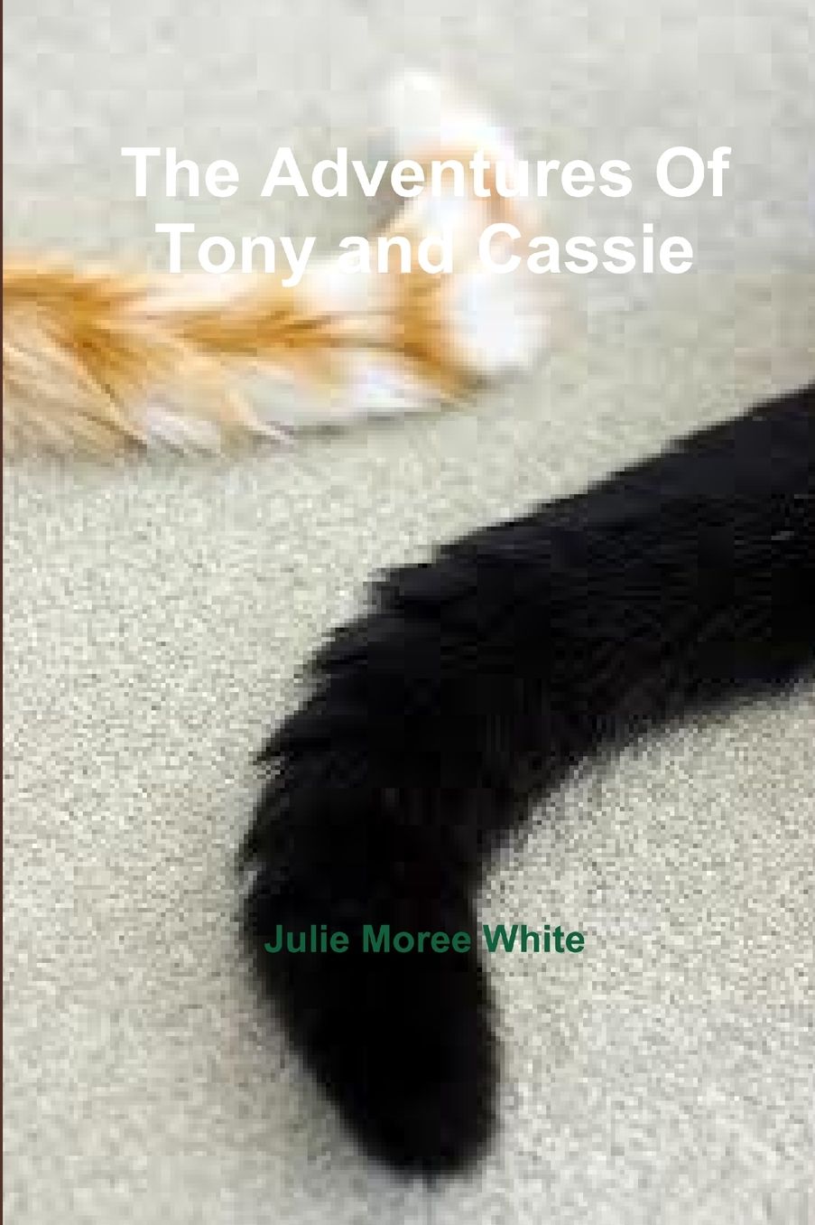 The Adventures Of Tony and Cassie