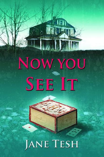Now You See It (Grace Street Series #3)
