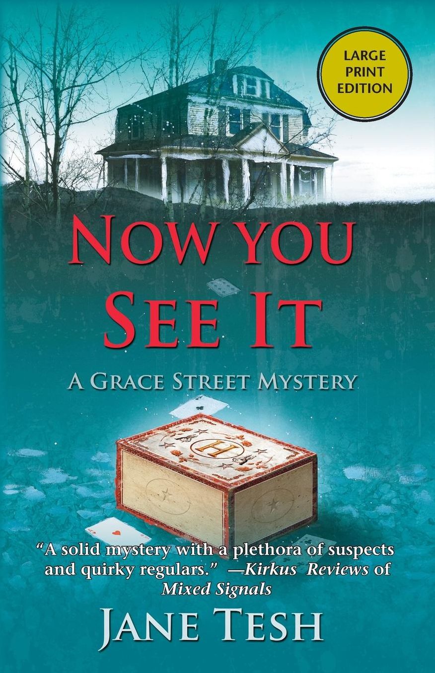 Now You See It (Grace Street Series #3)