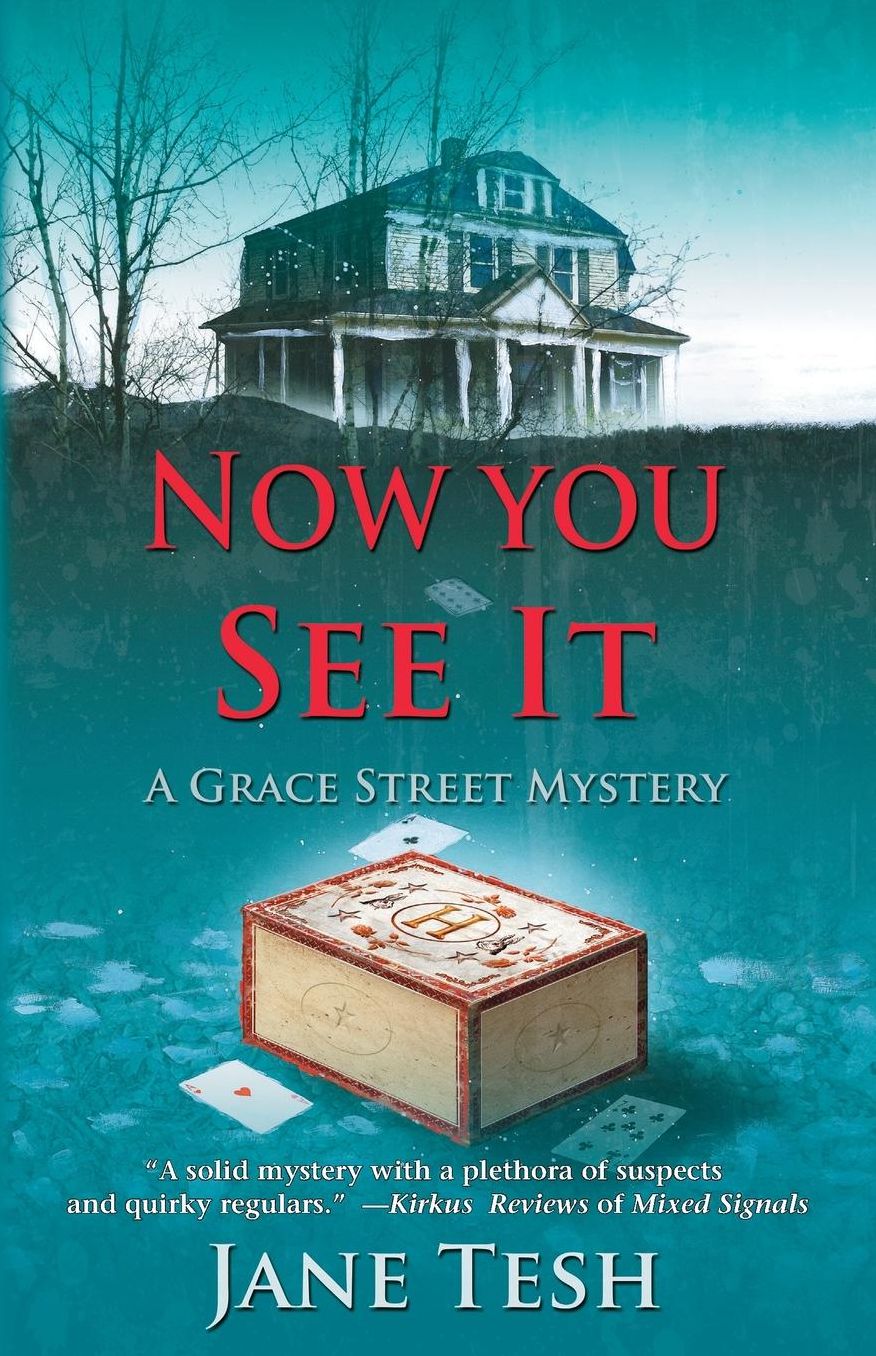 Now You See It (Grace Street Series #3)