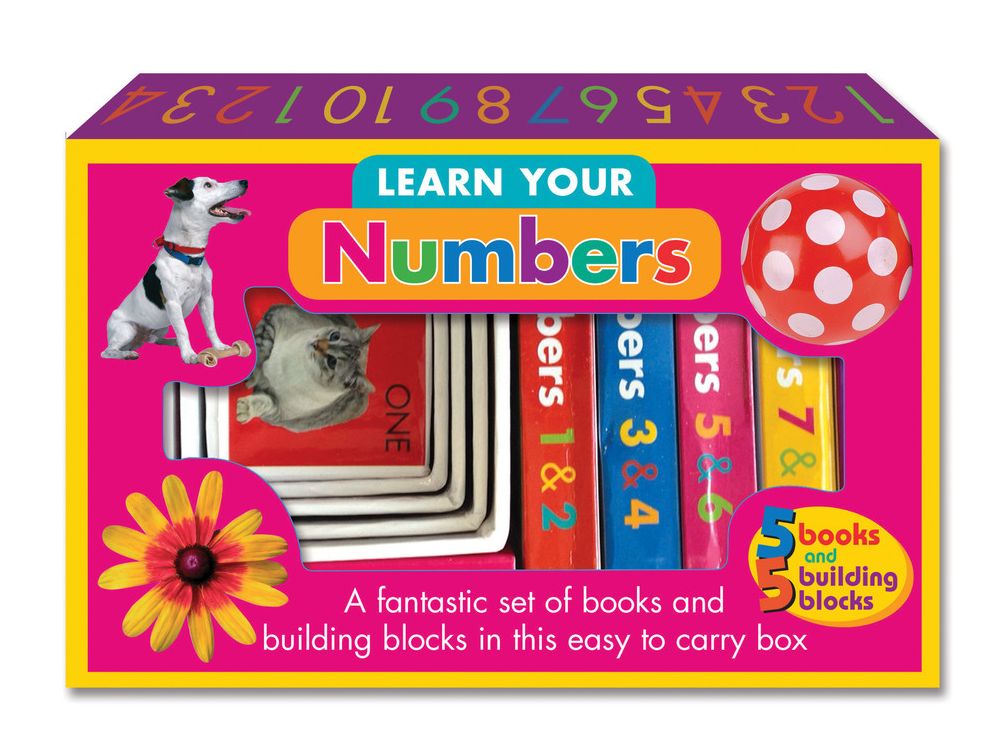 Learn Your Numbers: A fantastic set of books and building blocks in this easy to carry box