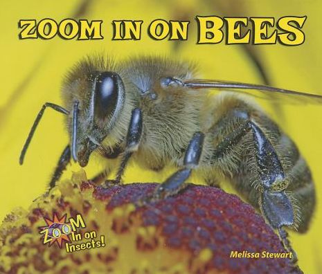 Zoom in on Bees