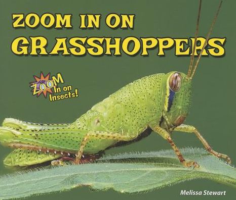 Zoom in on Grasshoppers