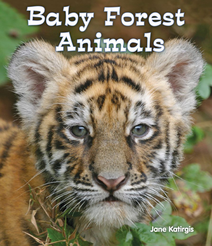Baby Forest Animals