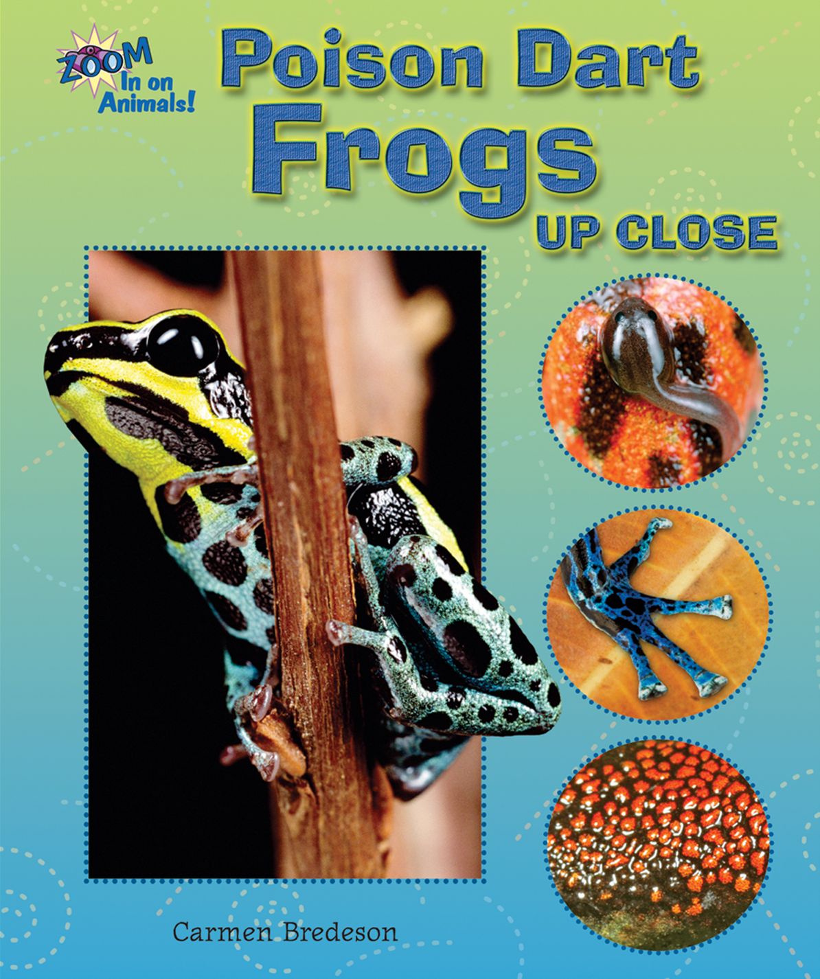 Poison Dart Frogs Up Close