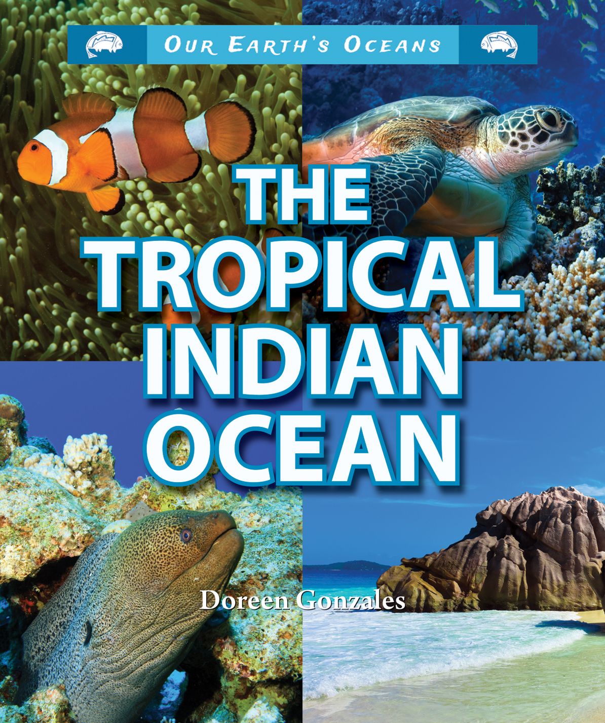 The Tropical Indian Ocean
