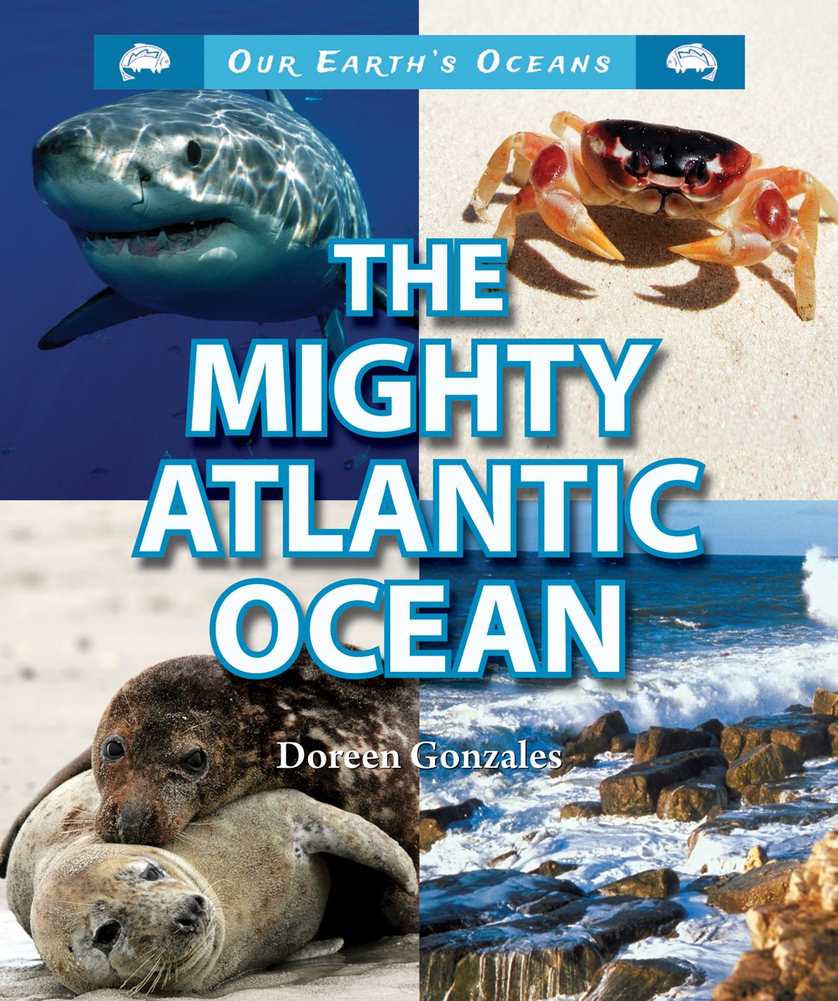 The Mighty Atlantic Ocean