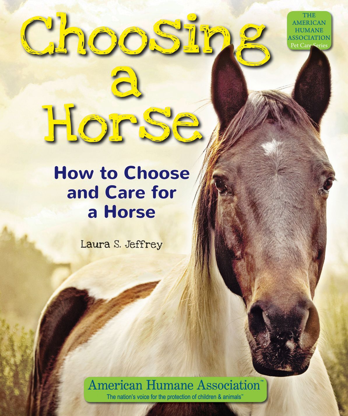 Choosing a Horse: How to Choose and Care for a Horse