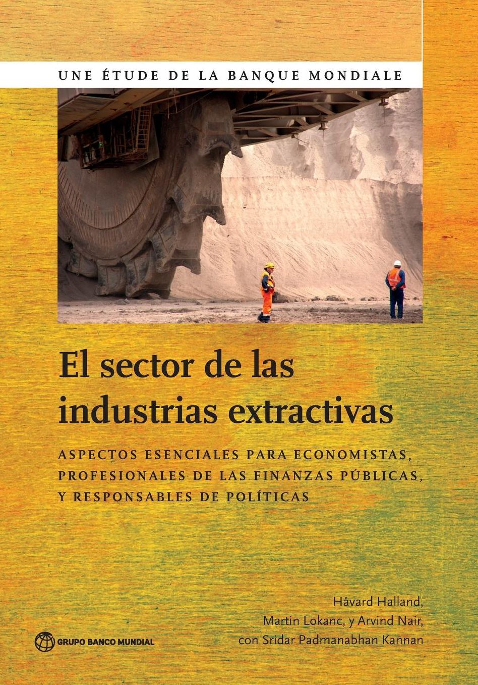 El sector de las industrias extractivas: Essentials for Economists and Public Finance Professionals