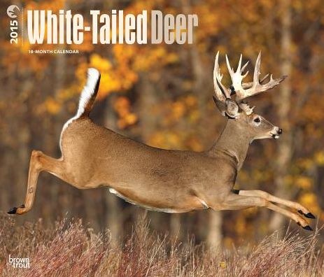 White-Tailed Deer 18-Month Calendar