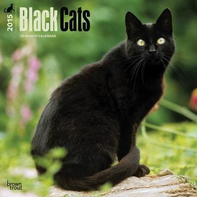 Black Cats Calendar
