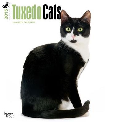 Tuxedo Cats Calendar