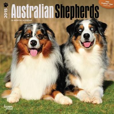 Australian Shepherds Calendar