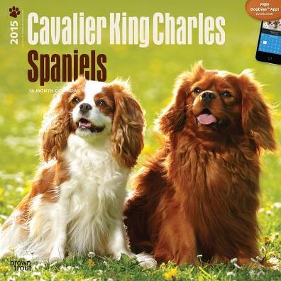 2015 Cavalier King Charles Spaniels Wall Calendar