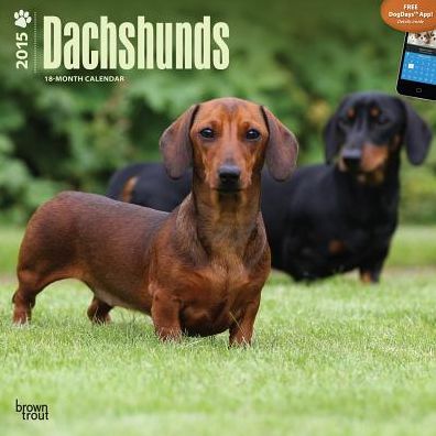 Dachshunds 18-Month Calendar