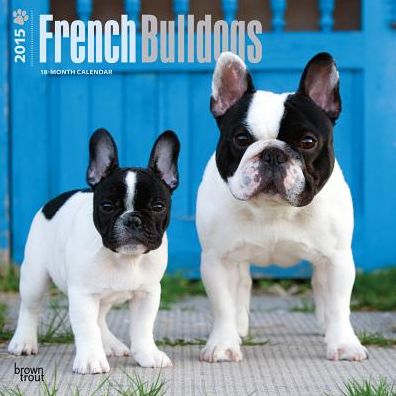 French Bulldogs Calendar