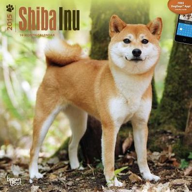 Shiba Inu Calendar