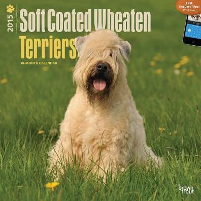 Soft Coated Wheaten Terriers Calendar