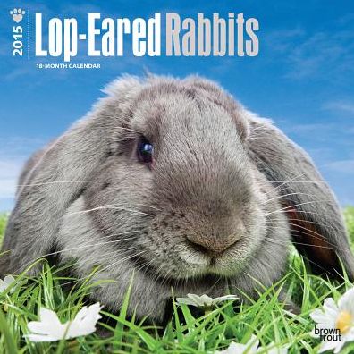 Lop-Eared Rabbits Calendar