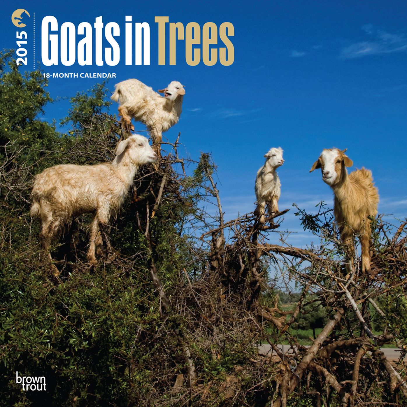 2015 Goats in Trees Wall Calendar