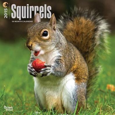Squirrels 18-Month Calendar