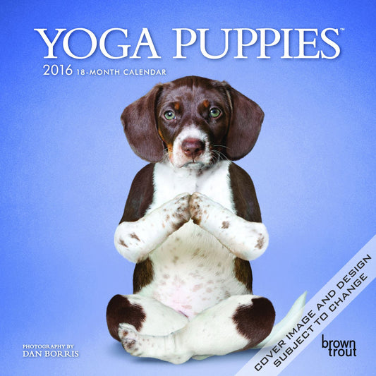 2016 Yoga Puppies Mini Wall Calendar