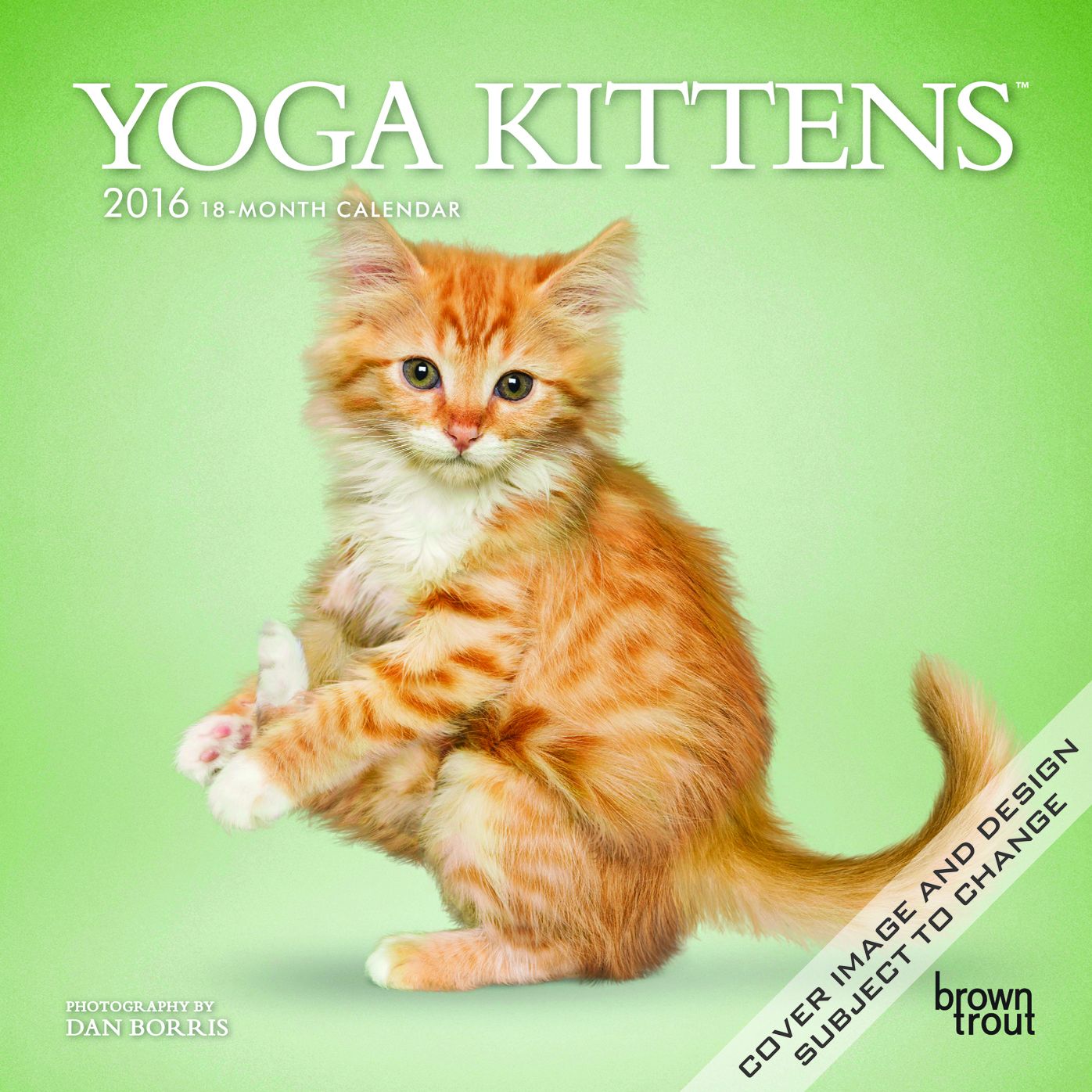 2016 Yoga Kittens Mini Wall Calendar