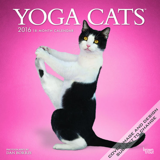 2016 Yoga Cats Square 12x12 Wall Calendar