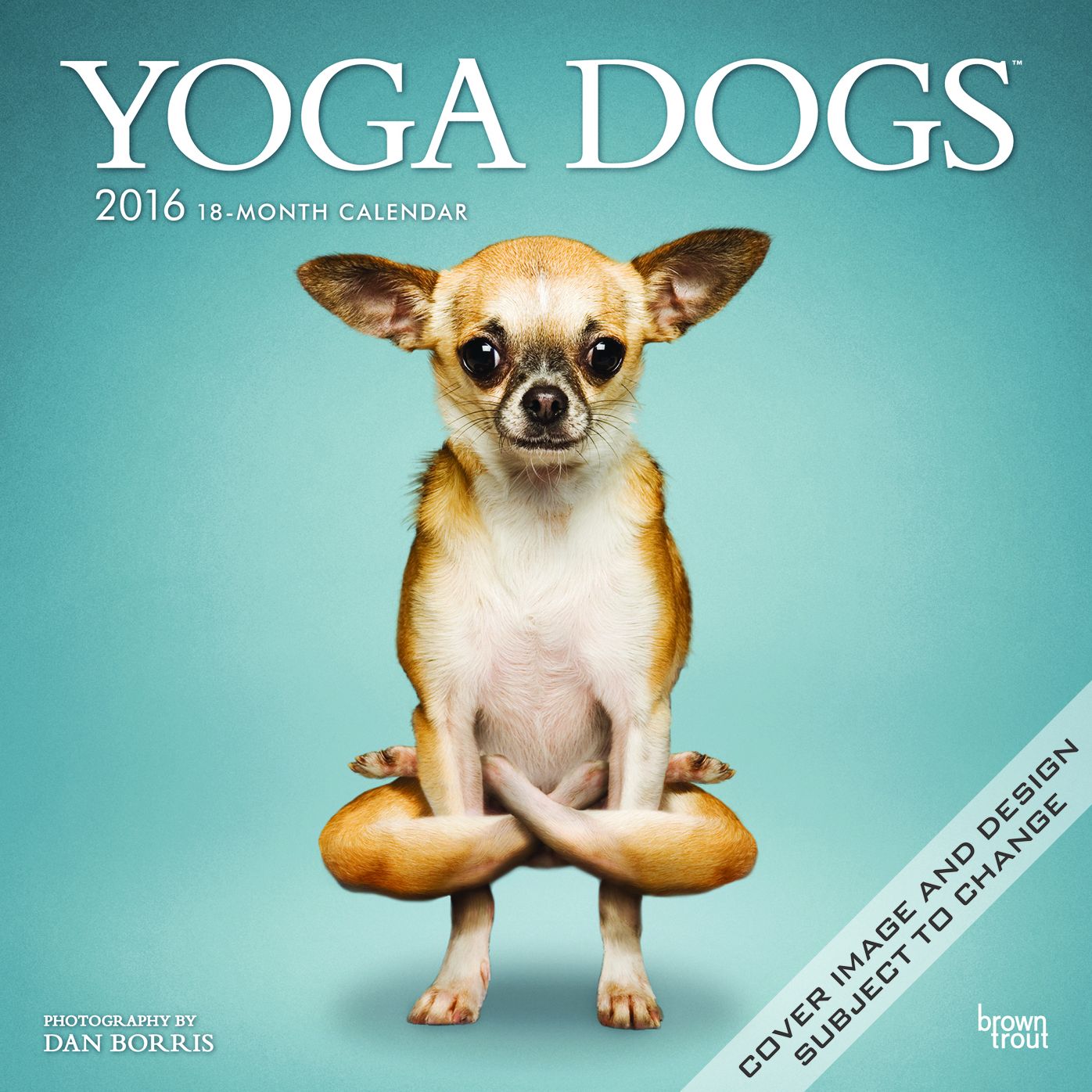 2016 Yoga Dogs Square 12x12 Wall Calendar