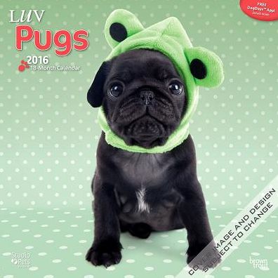 2016 By Myrna - Luv Pugs Square 12x12 Wall Calendar
