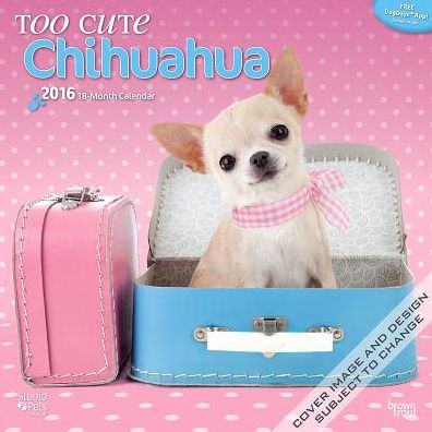 2016 By Myrna - Too Cute Chihuahua Square 12x12 Wall Calendar