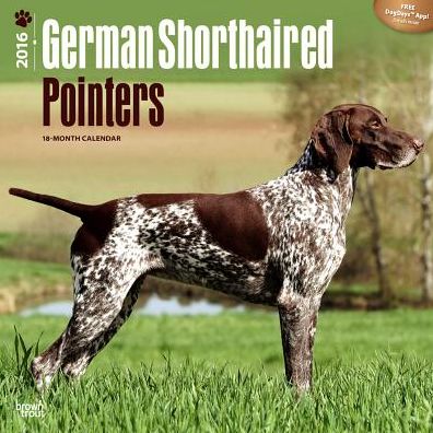 2016 German Shorthaired Pointers Square 12x12 Wall Calendar