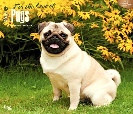 2016 Pugs, For the Love of Deluxe Wall Calendar